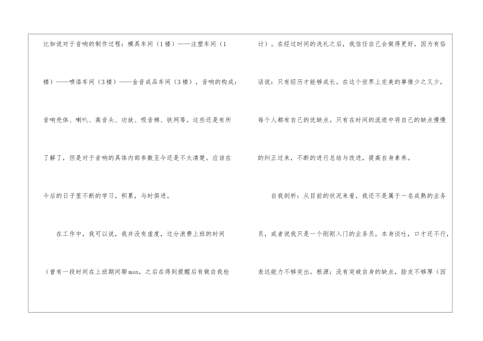 关于业务员终的工作总结_第2页