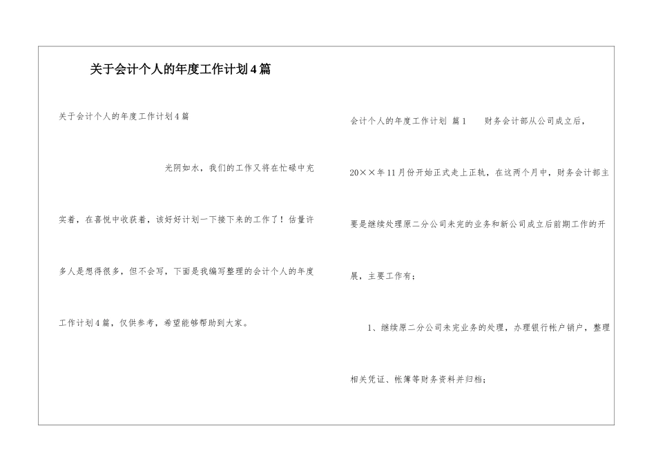 关于会计个人的年度工作计划4篇_第1页