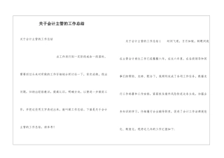 关于会计主管的工作总结