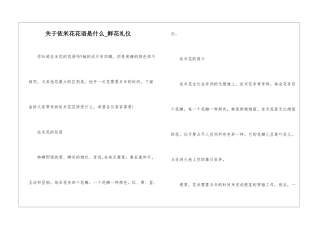 关于依米花花语是什么-鲜花礼仪