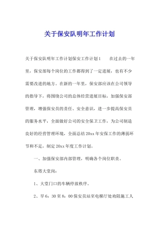 关于保安队明年工作计划
