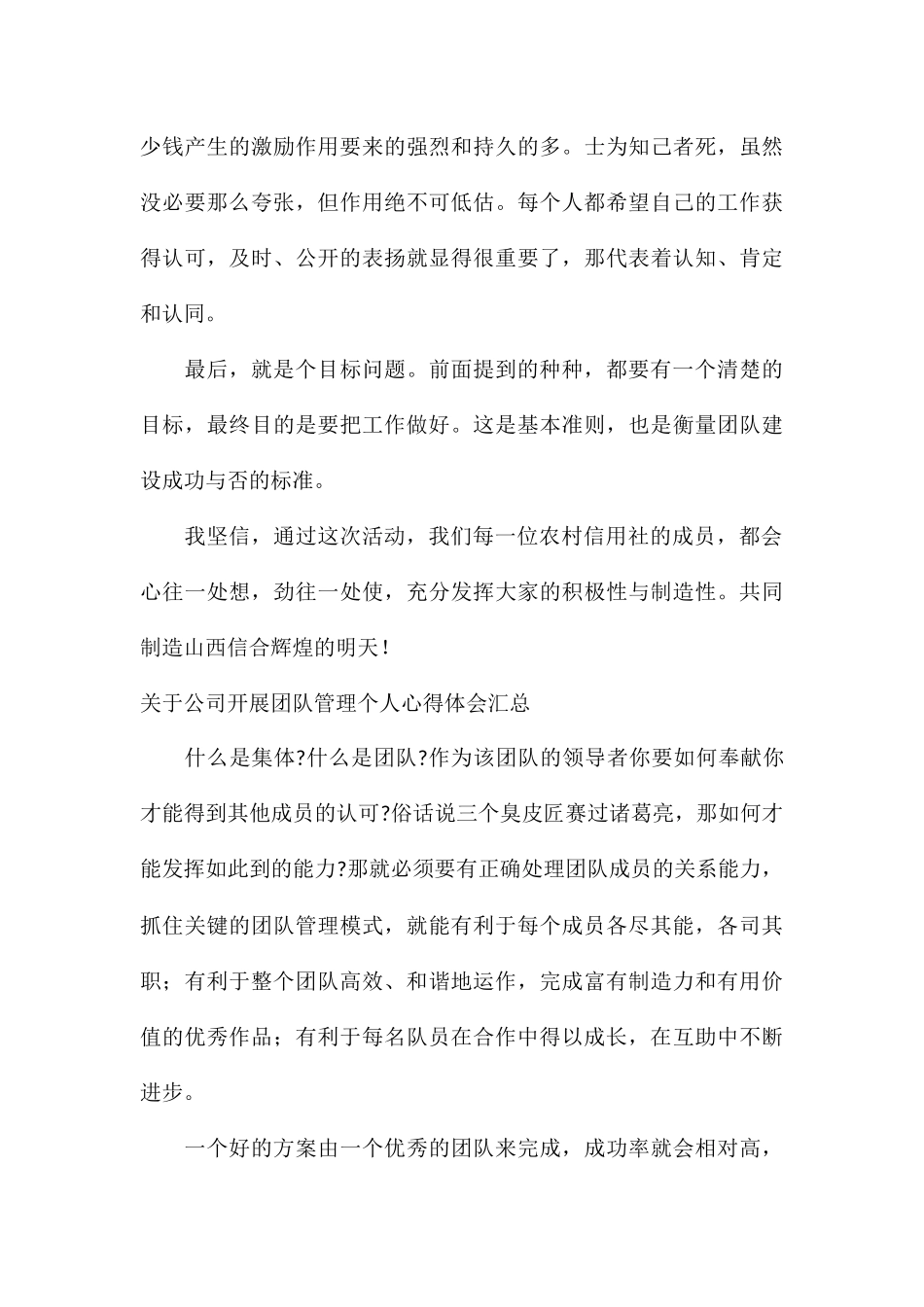 关于公司开展团队管理个人心得体会汇总_第3页