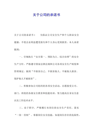 关于公司的承诺书