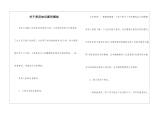 关于养花知识都有哪些