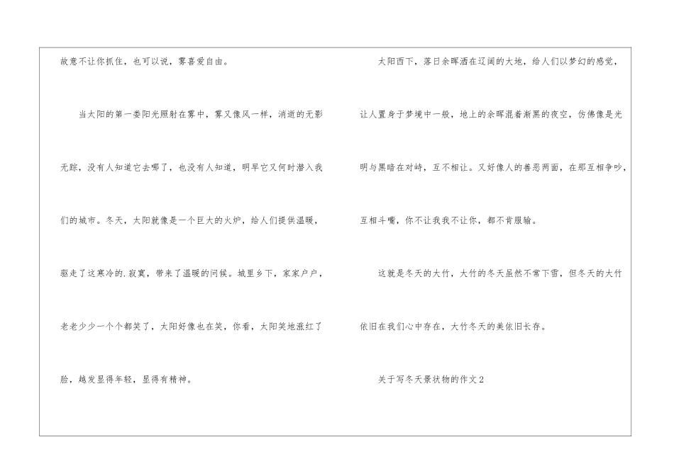 关于写冬天景状物的作文模板_第2页