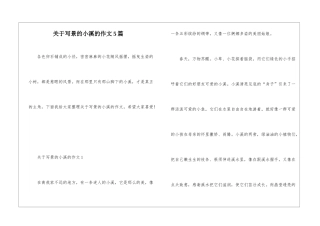 关于写景的小溪的作文5篇