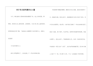 关于冬天的写景作文5篇