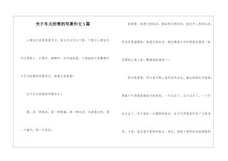 关于冬天的雪的写景作文5篇