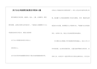 关于分公司经营目标责任书范本5篇