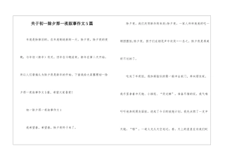 关于初一除夕那一夜叙事作文5篇
