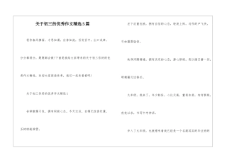关于初三的优秀作文精选5篇