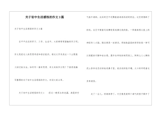 关于初中生活感悟的作文3篇