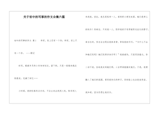 关于初中的写事的作文合集六篇