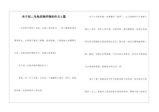 关于初二乌龟状物抒情的作文5篇