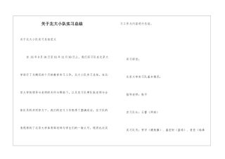 关于北大小队实习总结