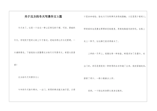 关于北方的冬天写景作文5篇