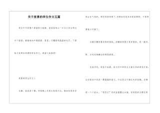 关于夜景的学生作文五篇