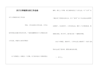 关于大学副班长的工作总结
