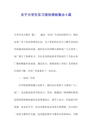 关于大学生实习报告模板集合5篇