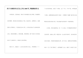 关于大树的作文汇集-作文600字-写植物的作文