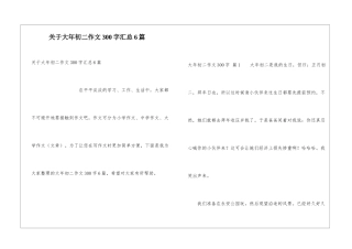 关于大年初二作文300字汇总6篇