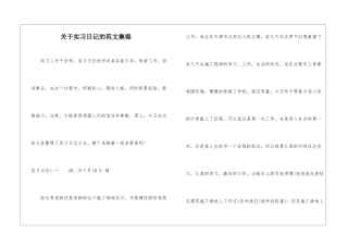 关于实习日记的范文集锦