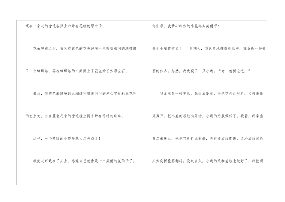 关于小制作作文_第2页