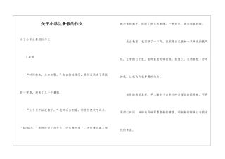 关于小学生暑假的作文