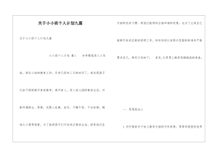 关于小小班个人计划九篇