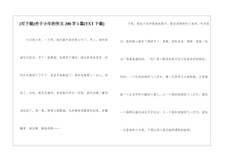 关于小年的作文200字5篇