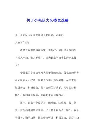 关于少先队大队委竞选稿