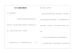 关于工程项目策划书