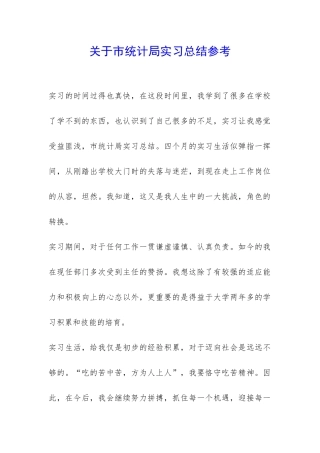 关于市统计局实习总结参考-