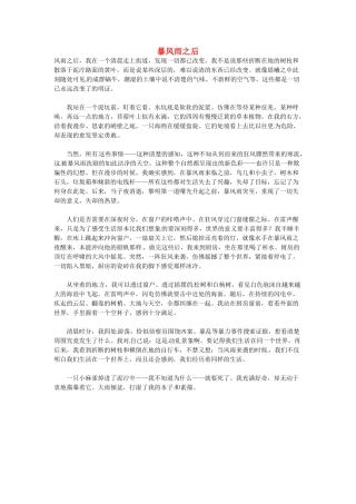 高中语文 现代文百篇阅读材料 暴风雨之后素材