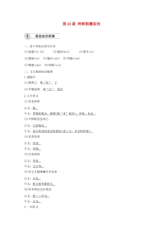 高中语文 第六单元 第24课 种树郭橐驼传学案（含解析）新人教版选修《中国古代诗歌散文欣赏》-新人教版高中《中国古代诗歌散文欣赏》语文学案