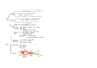 2025年人教七年级生物下册考点思维导图