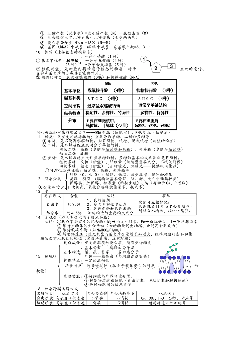 2025年高一生物必修一知识点整理_第2页