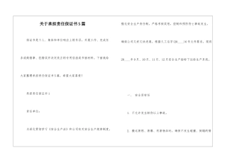 关于承担责任保证书5篇