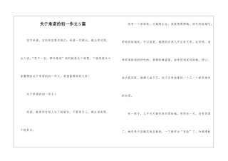 关于承诺的初一作文5篇