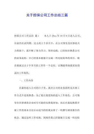关于担保公司工作总结三篇