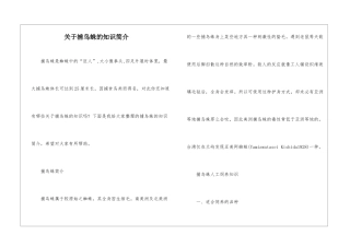 关于捕鸟蛛的知识简介