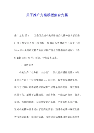 关于推广方案模板集合九篇