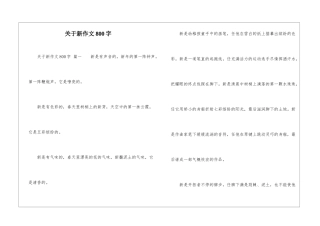 关于新作文800字-1