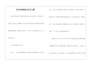 关于时间的初三作文5篇