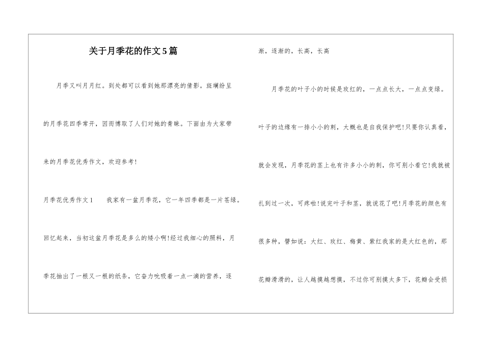 关于月季花的作文5篇-1_第1页