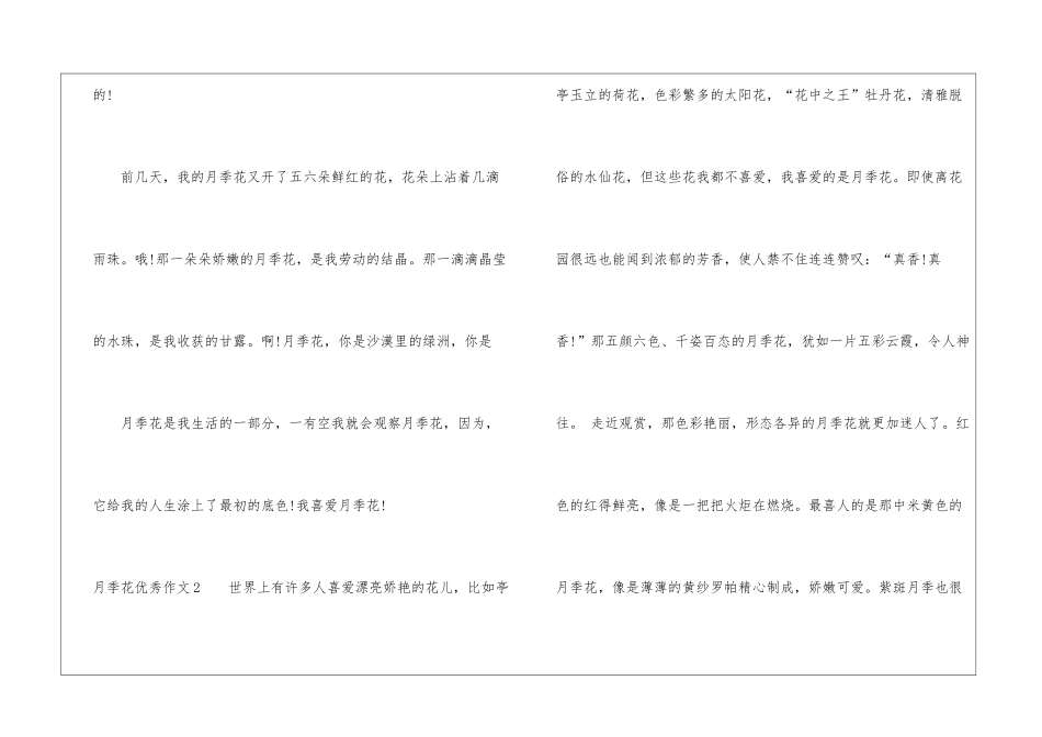 关于月季花的作文5篇-1_第2页