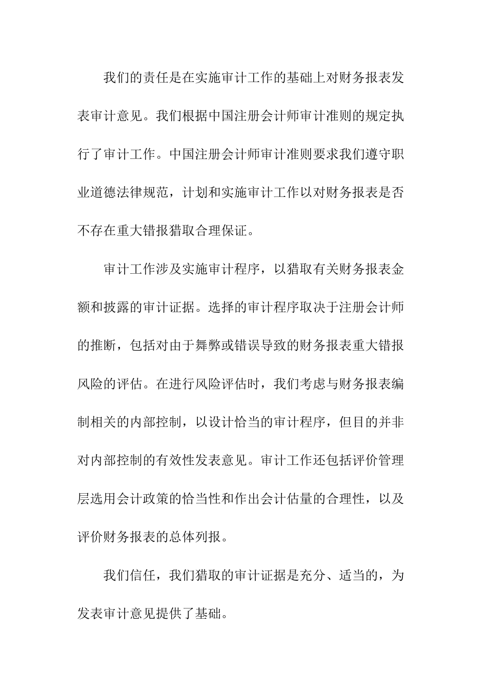 关于标准审计报告_第2页