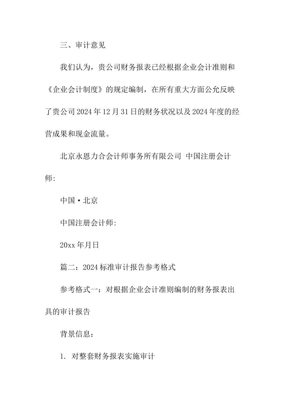 关于标准审计报告_第3页