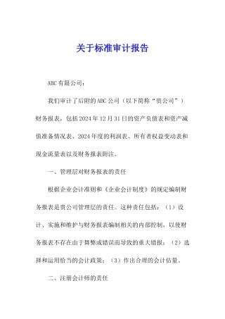 关于标准审计报告