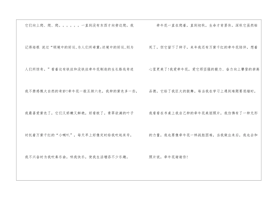 关于牵牛花的作文600字5篇_第2页